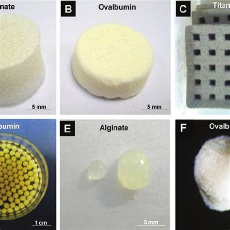 PDF Three Dimensional Scaffolds For Tissue Engineering Applications