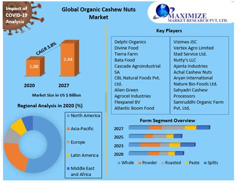 Organic Cashew Nuts Market Global Industry Analysis And Forecast