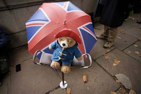 Hundreds Of Paddington Bears Left For Queen To Go To Charity Buckingham Palace Says The Globe