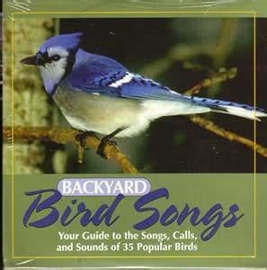 Guide to the songs, calls, and sounds of 35 Popular Birds - Backyard ...