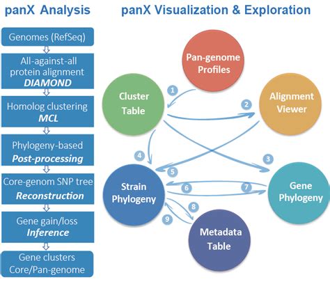 panX: microbial pan-genome analysis and exploration | pan-genome-analysis