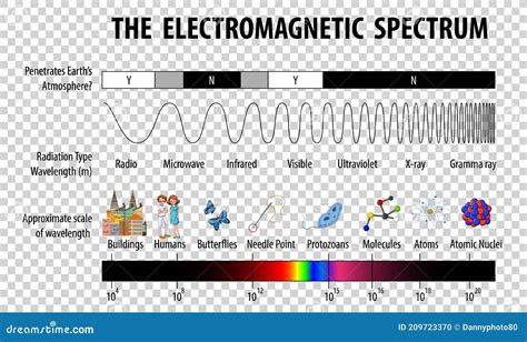 Diagrama De Espectro Electromagnético Científico Sobre Fondo