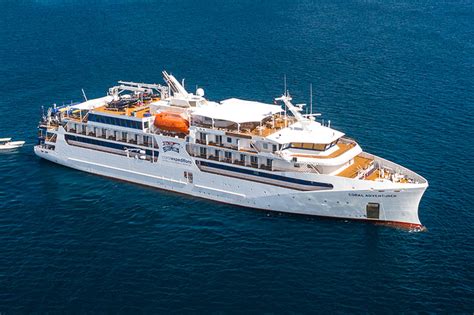 Coral Expedition Launches New Sub Antarctic Voyage Cruise Industry News Cruise News