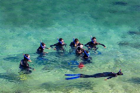 Snorkel En El Parque Natural Del Estrecho Desde Tarifa Civitatis