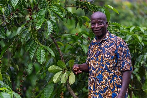 Publireportage Nestl Et La C Te Divoire Une Histoire Forte Abidjan