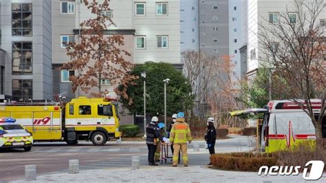 설 연휴 첫날 전주 아파트 17층서 불인명피해 없어 네이트 뉴스