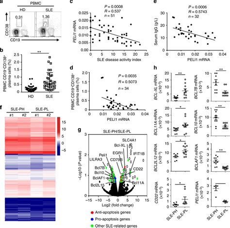 Peli Expression Is Negatively Correlated With Sle Disease Activity A