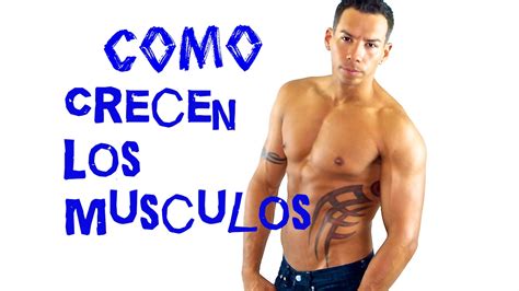 Masa Muscular C Mo Crecen Los M Sculos Youtube