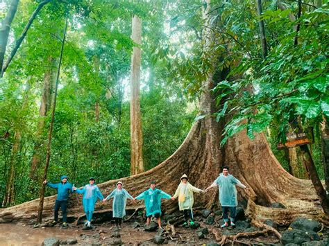 Vườn Quốc Gia Nam Cát Tiên Địa Điểm Du Lịch Hấp Dẫn Gần Sài Gòn