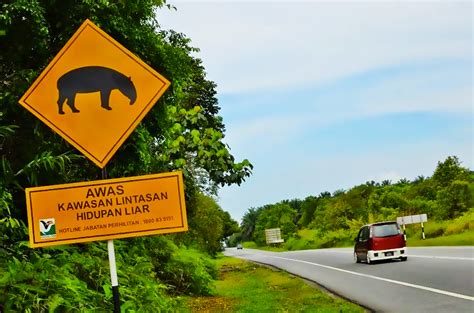 Tahukahanda Aneka Papan Tanda Haiwan Melintas Seluruh Dunia