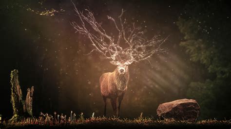 Forest Deer Wallpaper