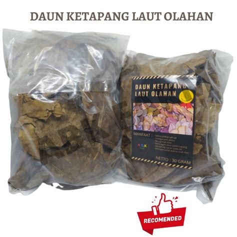 Jual Daun Ketapang Laut Olahan Untuk Ikan Hias Shopee Indonesia