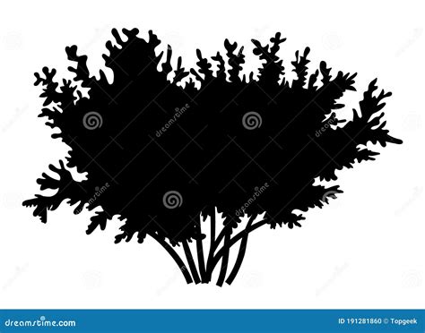 Silhouette Bush With Leaves Isilated On White Background Lush Bush