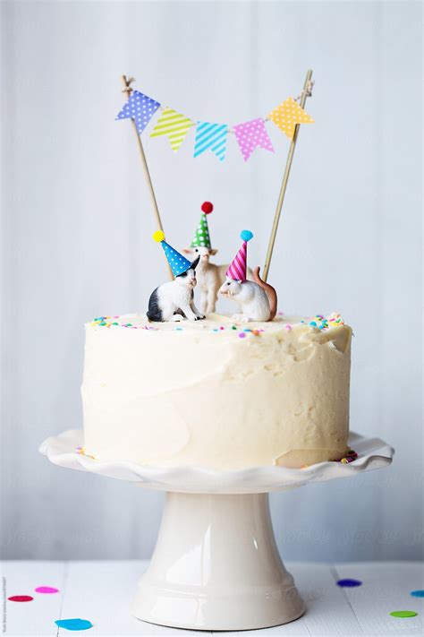 Birthday Cake By Stocksy Contributor Ruth Black Stocksy