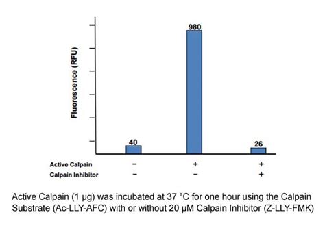 美国apexbio中文官网 Calpain Activity Fluorometric Assay Kit Exclusively