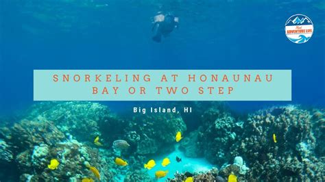 Big Island Snorkeling Adventure - From $105 - Waikiki Adventures