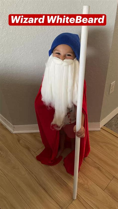 Wizard Whitebeard From Where’s Waldo Halloween Costume White Beard Blue Hat Red Cape