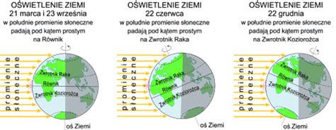 Wydawnictwa Edukacyjne Wiking Portal Edukacyjny Ruchy Ziemi I Ich