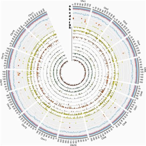 Genome Mapping Canada | secretmuseum