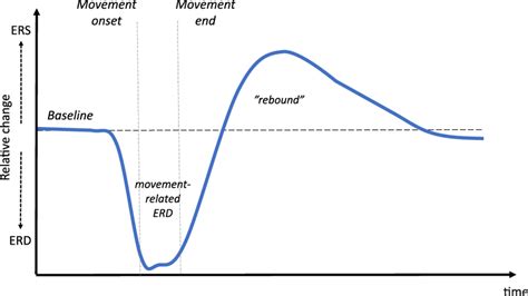 Typical Movement Related Beta Band Activity Typical Event Related Download Scientific Diagram