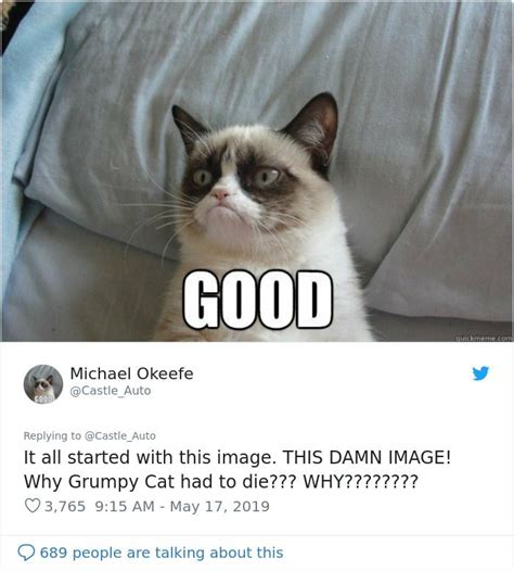 Grumpy Cat Dies Aged 7 | Grumpy cat, Grumpy cat meme, Funny disney memes