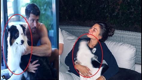 Can Yaman was caught walking Demet Özdemir s dog YouTube