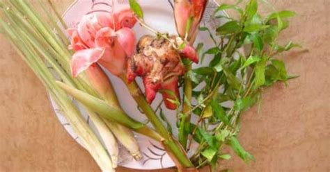 Daun Kantan In English Patriciataromiddleton