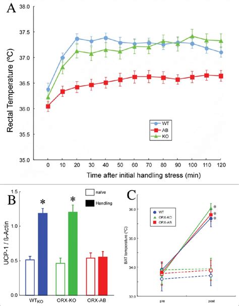 A Effect Of Repeated Handling Stress On The Rectal Temperature Of