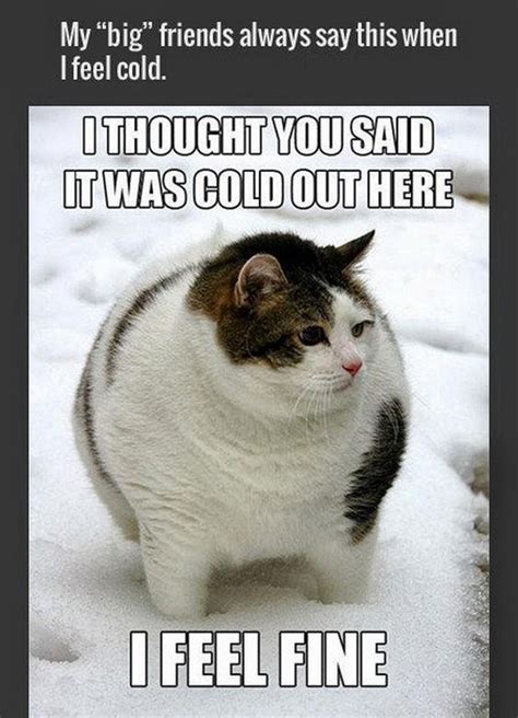 Baby Its Cold Outside Meme - Captions Beautiful