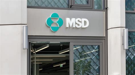 msd mulls  launch  rsv vaccine  phase iiiii win