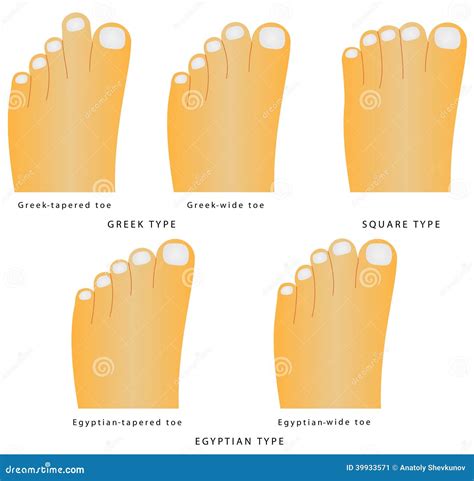 Toe Shape Stock Vector Illustration Of Naked Egyptian 39933571