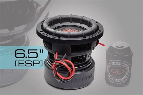 Dd Audios New Subwoofer With Evolution Subwoofer Package