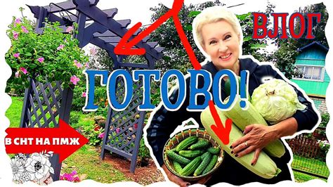 ВЛОГ | ПЕРГОЛЫ И ШПАЛЕРЫ НА СВОИХ МЕСТАХ В САДУ - YouTube