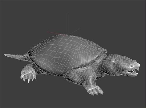 Snapping Turtle 3d Model Turbosquid 1685650