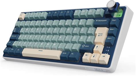 RK ROYAL KLUDGE R75 Mechanische Tastatur Kabellos 75 Gasket Gaming