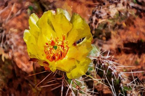 Digitally Created Watercolor Painting Of Cactus Opuntia Phaecantha With