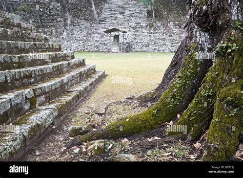 copan ruins  res stock photography  images alamy