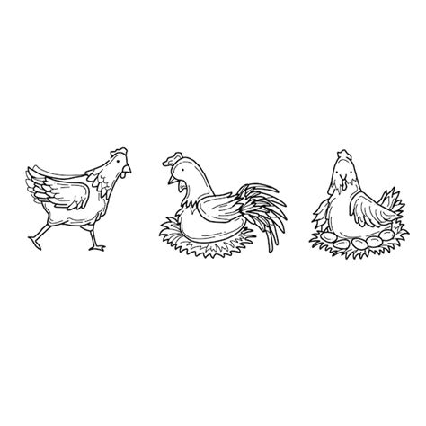 Huhn Handgezeichnete Doodle Illustrationen Vektor Set Premium Vektor