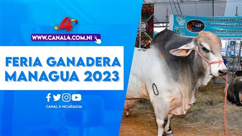 Todo Un Xito La Primera Edici N De La Feria Ganadera Managua