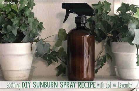 Diy Sunburn Spray Recipe With Cbd Oil Wellness Mama