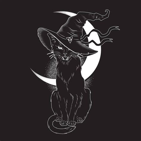 Beautiful Witch Cat Wallpapers Top Free Beautiful Witch Cat