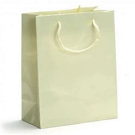 Handled Papercarry Bags Capacity 5 Kg Sizedimension Custom At