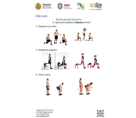 Entrenamiento Semanal Por Grupos Musculares