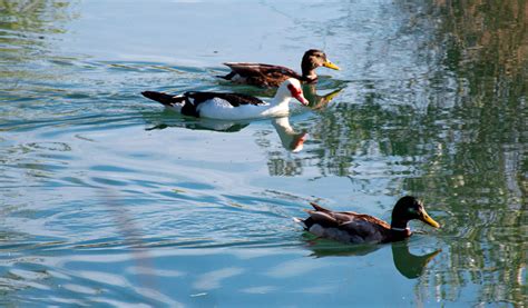 Coto Sociedad Riojalte A De Caza Y Pesca