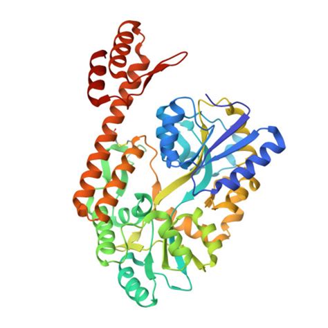 RCSB PDB 8TLV Crystal Structure Of MBP And AF9 AHD Fusion Protein