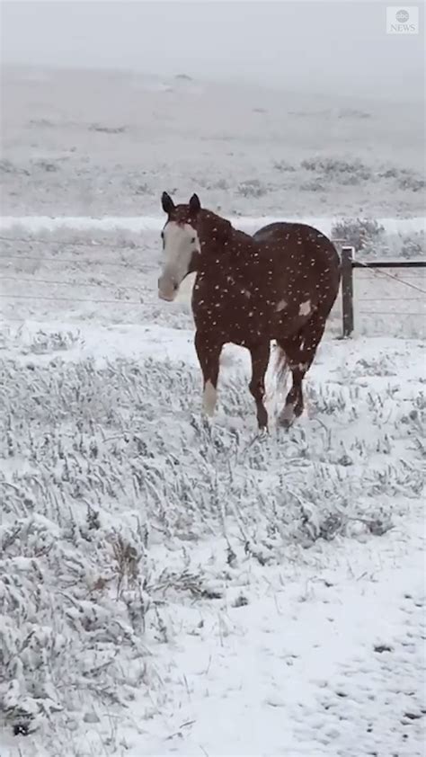 Abc News On Instagram You May Not Be Ready For Winter But These