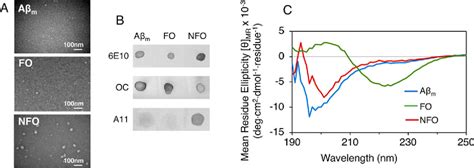 Figure From Fibrillar And Non Fibrillar Amyloid Beta Structures Drive