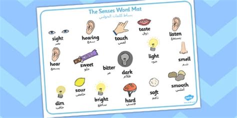 The Senses Word Mat Arabic Translation Teacher Made