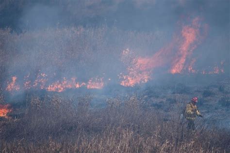 22 De Abril Día De La Tierra El Litoral