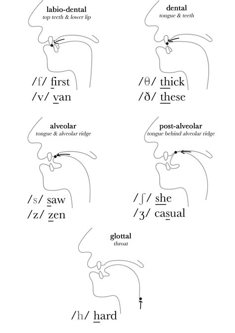 Consonant Tongue Placement Chart